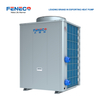 FENECO commercial swimming pool heat pump energy-saving constant temperature